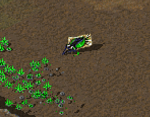 flyyiey.gif